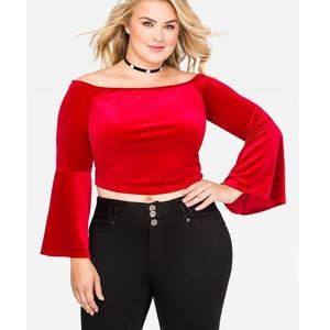 Ashley Stewart velvet crop top size 22/24